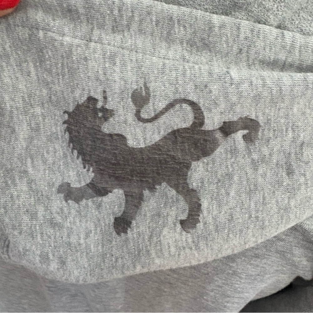 Express Womens Hoodie Medium Gray Silver Studded Lightweight Y2K Casual Comfy - Picture 4 of 12